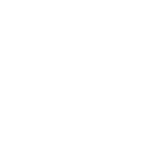 logo shokz